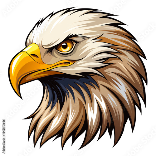 bald eagle vector illustration