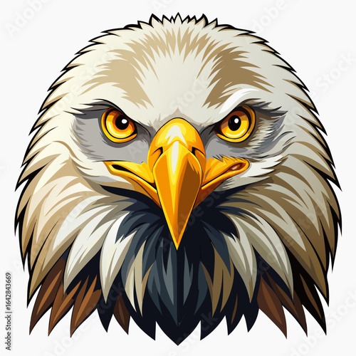 bald eagle isolated on white