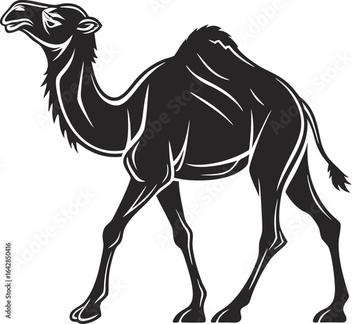 camel vector illustration
