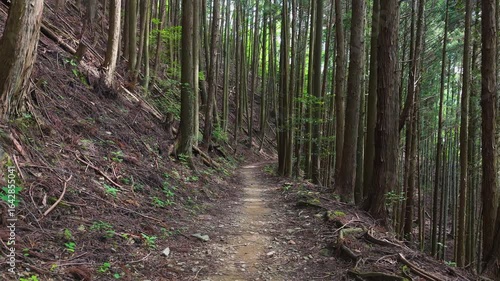 高野山町石道 Sacred Choishi-michi Stone Marker Path – Koyasan, Wakayama