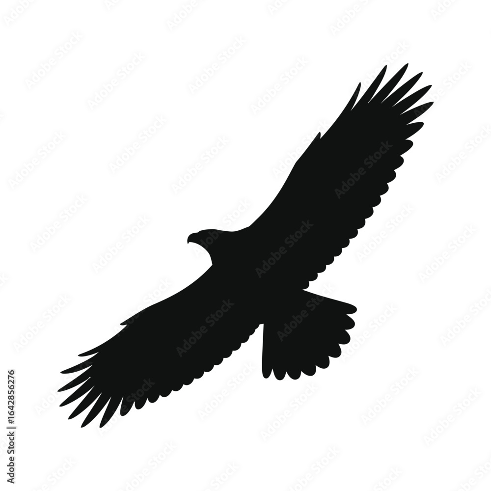 Naklejka premium Silhouette of a bird of prey in flight with wings spread