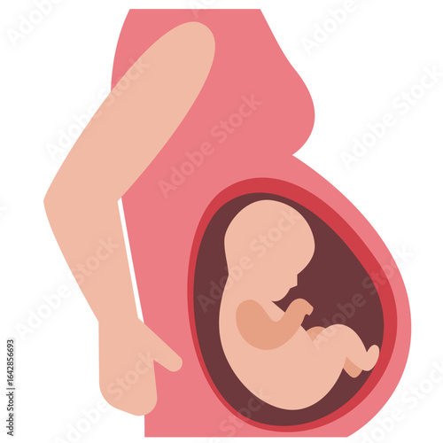 A pregnant woman's abdomen showcasing a fetus in utero.