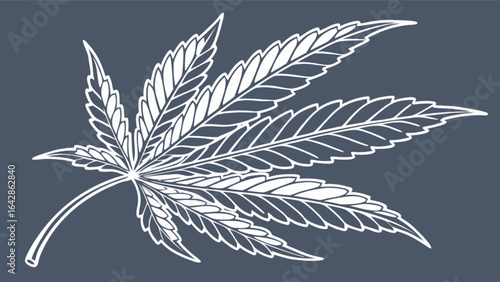Cannabis leaf vector art marijuana weed ganja hemp sativa indica medical plant illustration drawing design