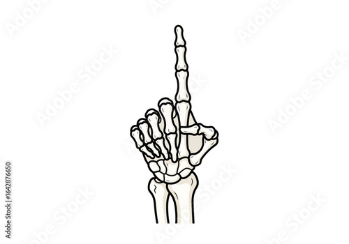 Skeletal hand pointing up mystery, curiosity, halloween themes suitable for spooky and haunting design projects, tarot card illustrations.