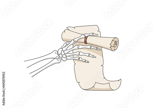 Skeleton hand grips a rolled scroll on white background. Suitable for halloween designs, spooky invitations, gothic themes, and horror content.