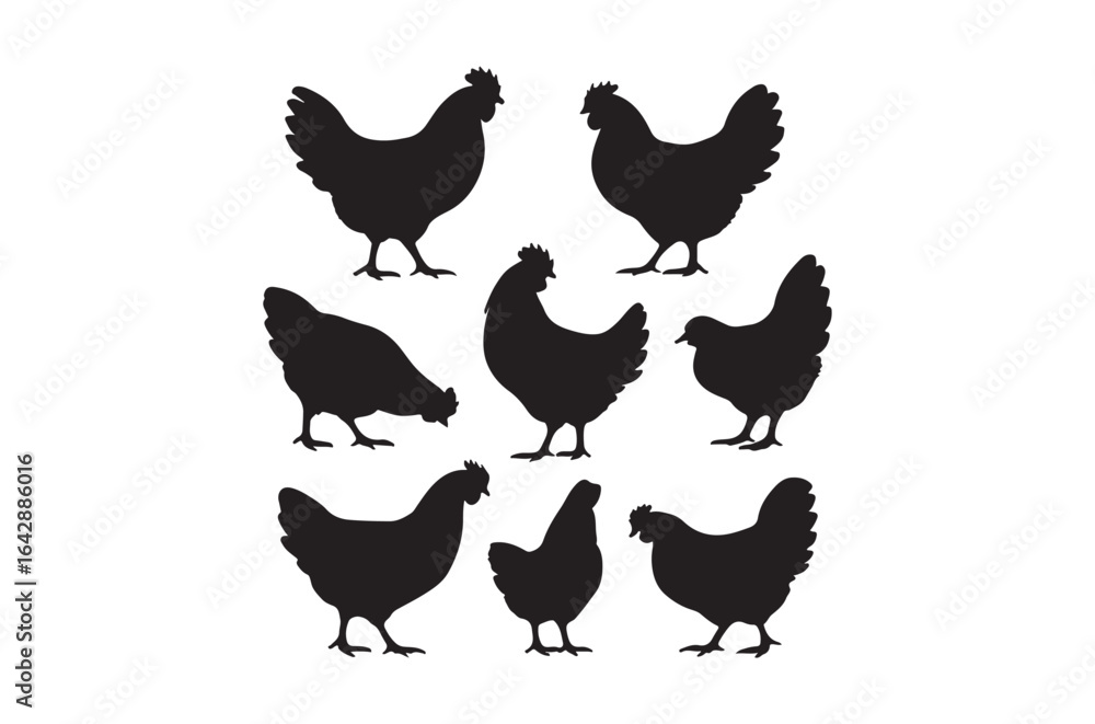 Fototapeta premium Silhouette of hen, Set of hen cartoon of different shapes, Animels vector illustration, Collection of Hand Drawn pet icons on white background.