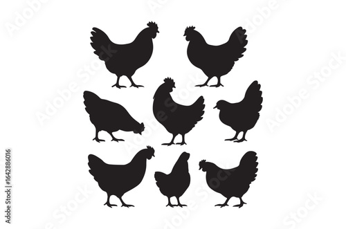Silhouette of hen, Set of hen cartoon  of different shapes,  Animels vector illustration, Collection of Hand Drawn pet icons on white background.