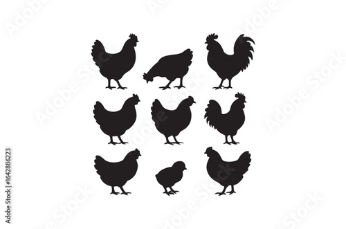 Silhouette of hen, Set of hen cartoon  of different shapes,  Animels vector illustration, Collection of Hand Drawn pet icons on white background.