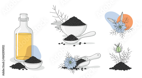 A collection of images depicting black cumin seeds and their oil extracted for wellness and culinary use