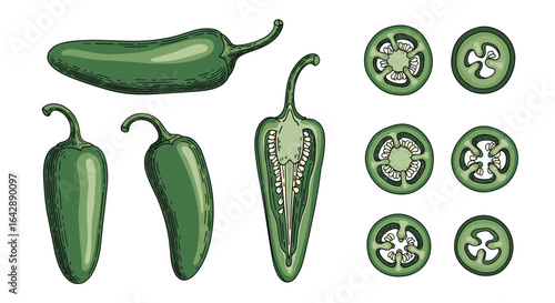 Vibrant green jalapeno peppers fresh produce spicy flavorful capsicum cultivated vegetables delicious culinary ingredients