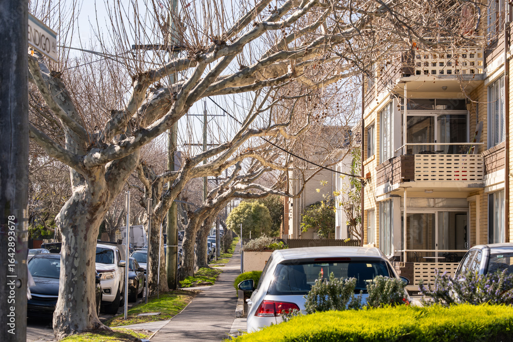 Fototapeta premium Residential street with parked cars and mid-century apartment buildings in the inner suburb of Elwood, Melbourne, Australia, featuring a row of large trees with bare branches in winter.