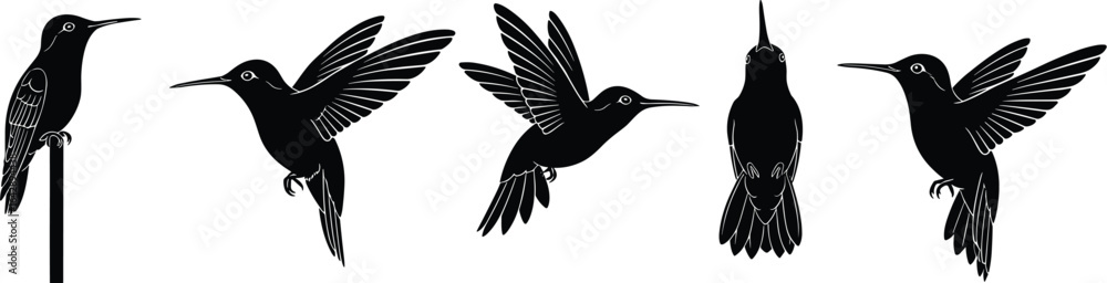 Obraz premium Hummingbird silhouette, flying bird, perched bird, nature vector, wildlife illustration, black and white, animal graphic, design art, stock image, minimal style