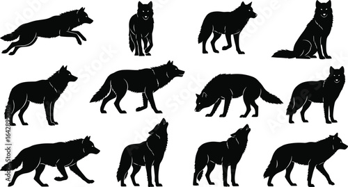 Wolf silhouettes in various poses, running, sitting, standing, howling, wild animal behavior, nature, predator, fur detail, motion, wilderness