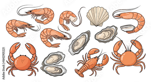 Vector collection of various seafood including shrimp, lobster, crab, oysters, and scallops