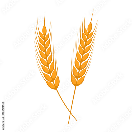 Vector illustration of wheat grain on transparent background