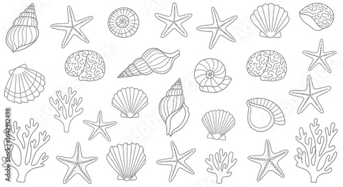 Hand-drawn doodle set of seashells, starfish, and coral. Marine life outline illustrations.