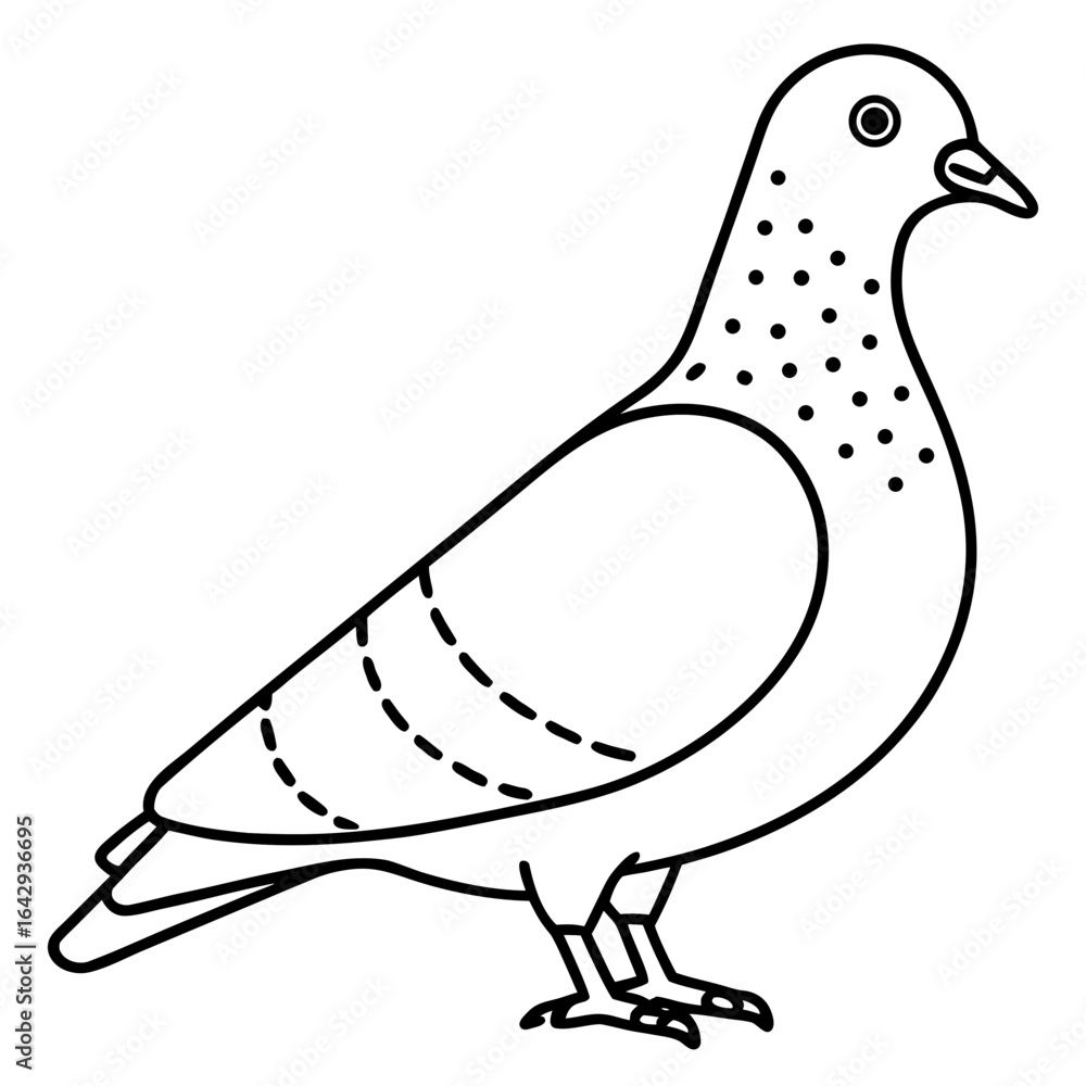 Fototapeta premium vector illustration of a pigeon
