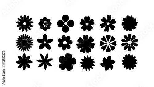 Black Birds Flying Silhouette flock