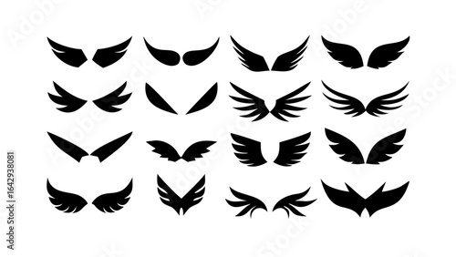 Collection of assorted seashells beach ocean