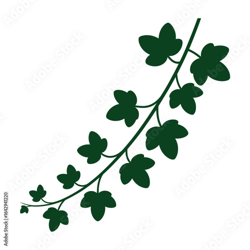 Green Ivy Vine Branch Silhouette on White Background plant leaf