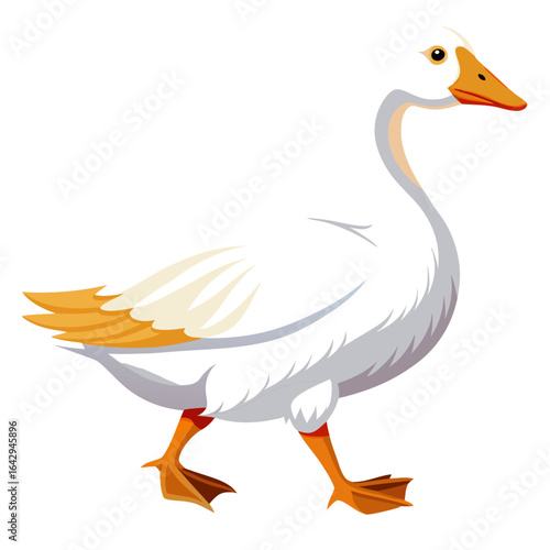 goose isolated on white background