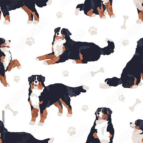 Bernese dog, seamless pattern. Endless canine animal background with cute Berner Sennenhund. Repeating print, printable design for textile, fabric, wrapping and wallpaper. Flat vector illustration