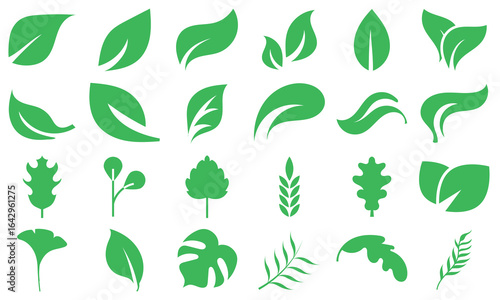 Leaf  vector icon. Nature design collection includes various leaf shapes perfect for eco, organic. Pictograms and infographics for mobile apps. vector illustration.	