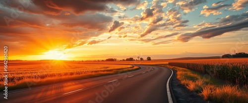 Empty asphalt road curves through sunlit golden cornfields at sunset, dramatic clouds overhead, sun, autumn