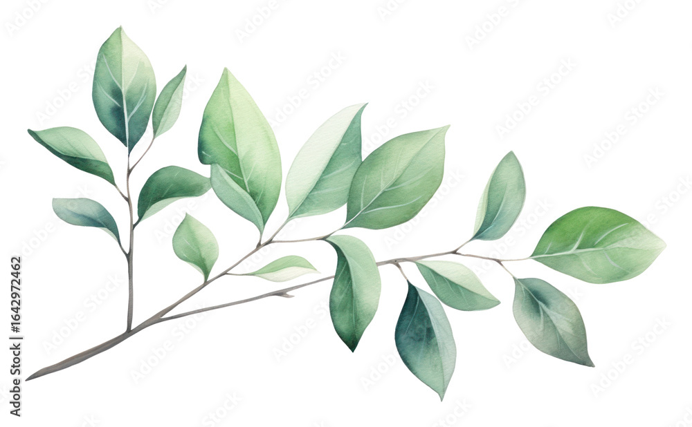 Naklejka premium PNG Leaves leaf illustration watercolor.