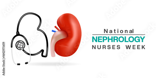 National Nephrology Nurses Week. Kidney shaped stethoscope and kidney. Suitable for posters, banners and social media. White background.