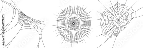 Spider web vector illustration, realistic cobweb designs in different shapes, Halloween decoration element, creepy web graphic, nature insect trap pattern art