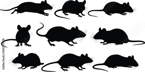 Mouse silhouettes collection, walking and sitting rodent vector art, black rat shapes, wildlife clipart, pest animal design illustration set