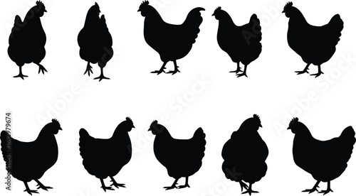 Chicken silhouette set, farm animal vector illustration, hen shapes clipart, standing and walking chicken design, black silhouette poultry art, nature graphic