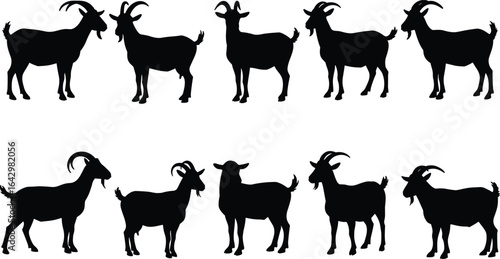Goat silhouette collection isolated on white background, black farm animal clipart, goat shapes for livestock design, agriculture and rural illustration
