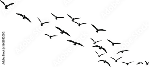 Flying bird silhouette flock isolated on white background, migrating birds clipart, black bird shapes for wildlife design and nature illustration