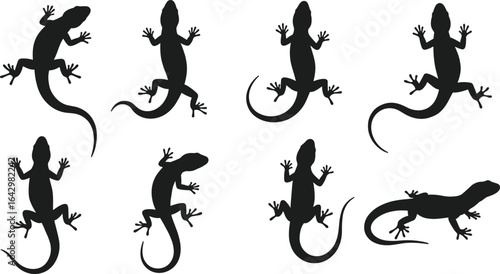 Lizard silhouette collection isolated on white background, black gecko reptile clipart, crawling lizard shapes for wildlife design and nature illustration