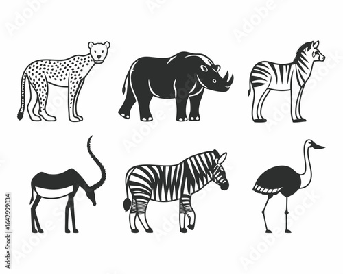 Photography set of animals