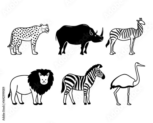 Photography set of animals vector illustration