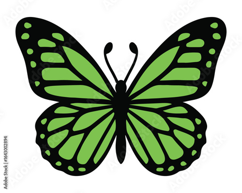 Green and black monarch butterfly illustration on white background insect lepidoptera
