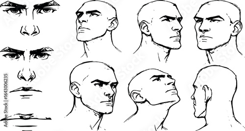 Men's face expressions and angles, a collection of hand-drawn vector art of a man's face.