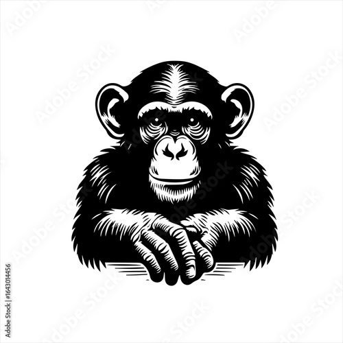 Black and white illustration of a chimpanzee head and shoulders