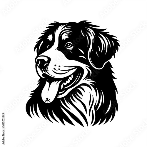 Bernese mountain dog portrait black and white illustration