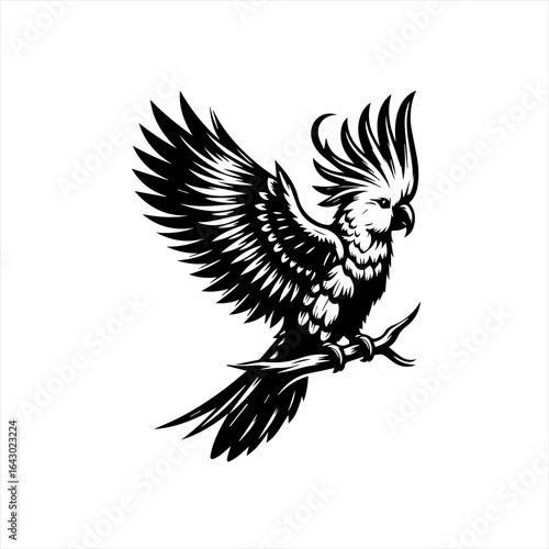 Black and white illustration of a cockatoo perched on a branch