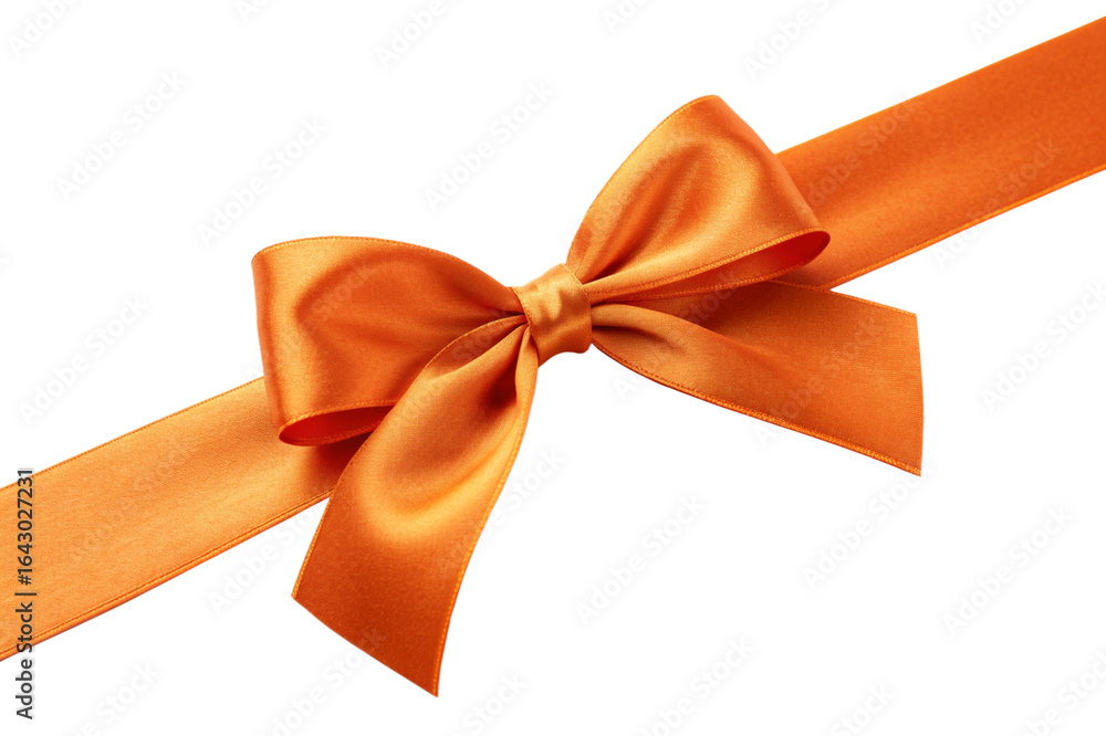 Fototapeta premium orange bow isolated on white background