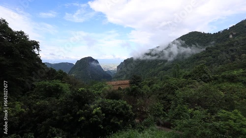 Wallpaper Mural Close-up nature video of the atmosphere surrounded by mountains, grasslands, mist from rain and heat that causes fog to cover the area. The joy of traveling and experiencing nature. Torontodigital.ca