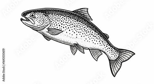 Web stock illustration