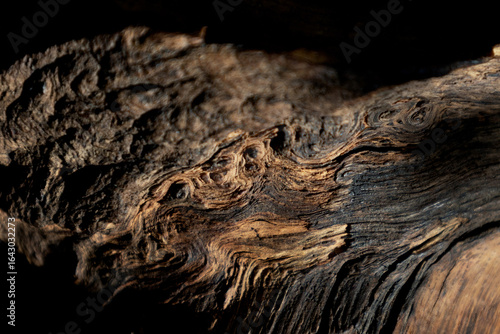 wood texture close up details in dark key