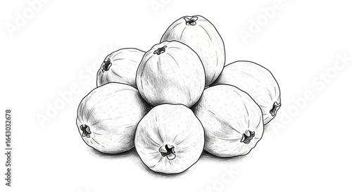 Detailed Monochrome Line Art Illustration of Stacked Guava Fruits