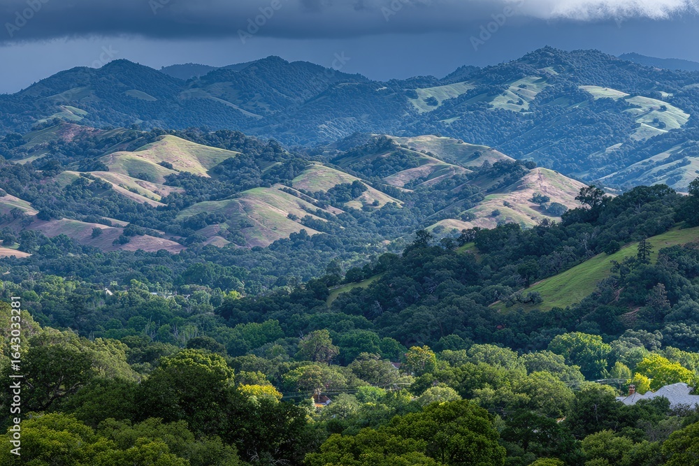 Fototapeta premium Lush hills and valleys, rolling terrain under a dramatic sky