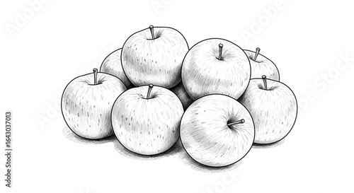 Ink drawing with apples, detailed sketch of several apples arranged, monochrome design